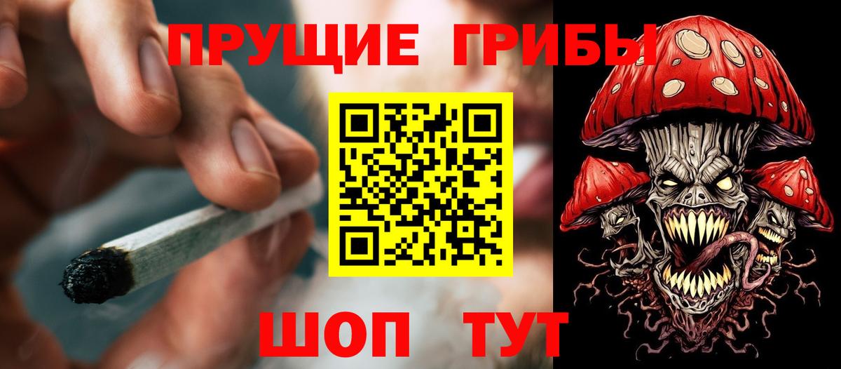 Псилоцибиновые грибы Psilocybine cubensis  Вход с VPN  Щёкино  Псилоцибиновые грибы мицелий 