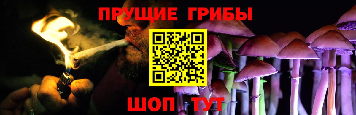 Галлюциногенные грибы ЛСД Щёкино